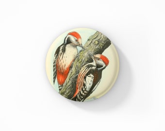 Woodpecker Pin, Woodpecker Pin Back Button, Bird Pin, Vintage Woodpecker Print Pin, Wildlife Pin, Woodpecker Magnet, Woodpecker keychain