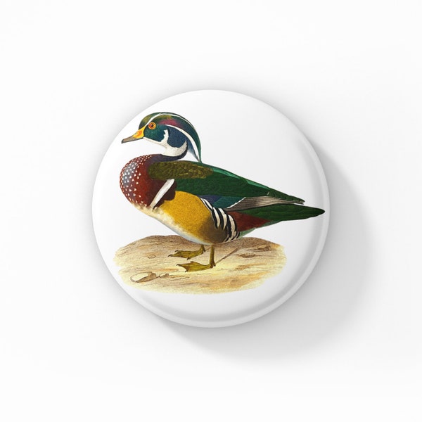 Wood Duck Pin, Wood Duck Pin Back Button, Duck Pin, Natural History Pin, Vintage Wood Duck Print Pin, Bird Pin