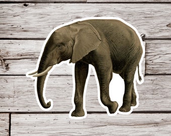 Könnte beinhalten: Eine Illustration eines schwarzen und braunen Elefanten mit weißem Umriss. Der Elefant steht auf einem hellbraunen Holzgrund.