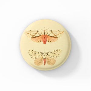 Moth Pin, Vintage Moth Pin, Lepidopterology Pin, Butterfly Pin, Insect Pin, Moth Badge, Moth Pin Back Button, Moth Magnet, Moth keychain