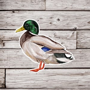 Mallard Sticker, Male Mallard Duck Sticker, Duck Sticker, Bird Sticker, Waterproof Sticker, Wildlife Sticker, Nature Sticker
