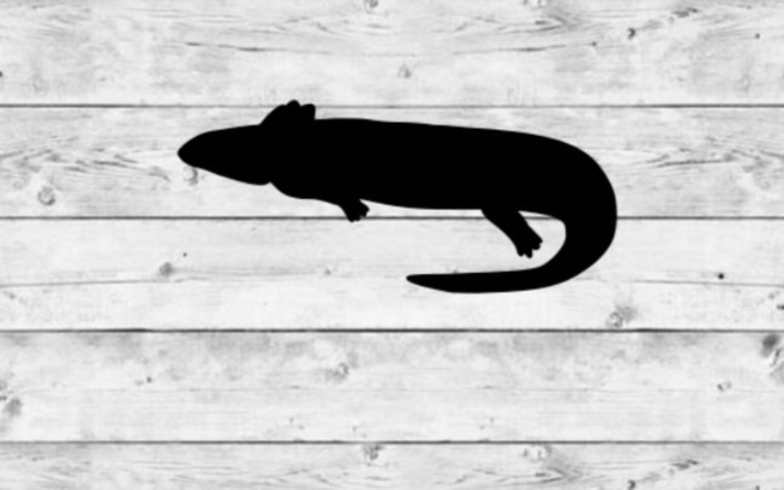Mudpuppy Sticker Mudpuppy Decal Mudpuppy Decoration | Etsy