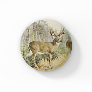 May include: A white-tailed deer with large antlers stands in a forest setting. The deer is brown with a white underbelly and is surrounded by green trees and bushes.