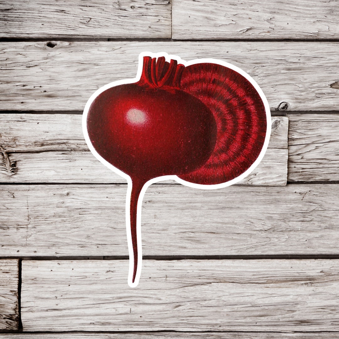Beet Sticker, Beetroot Sticker, Vegetable Sticker, Garden Sticker ...