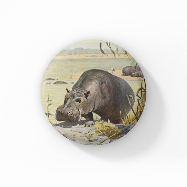 Hippocampus Pin, Hippo Pin Back Button, Animal Pin, Natural History Pin, Vintage Hippocampus Print Pin, Hippo Pin