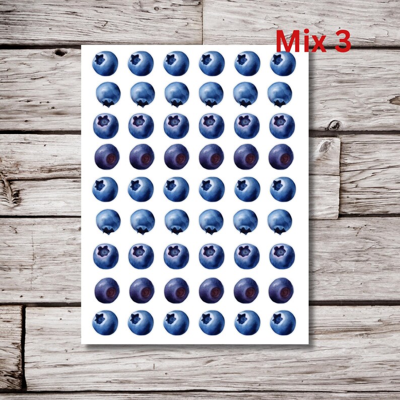 Blueberry Stickers, Fruit Sticker Sheet, 8.5x11