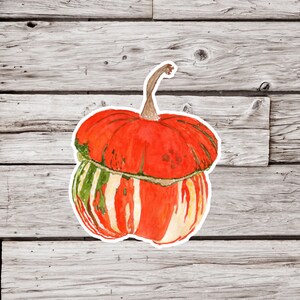 Squash Sticker, Winter Squash Sticker, Fall Sticker, Autumn Sticker, Pumpkin Sticker, Fall Sticker, Gourd Sticker, Plant Sticker