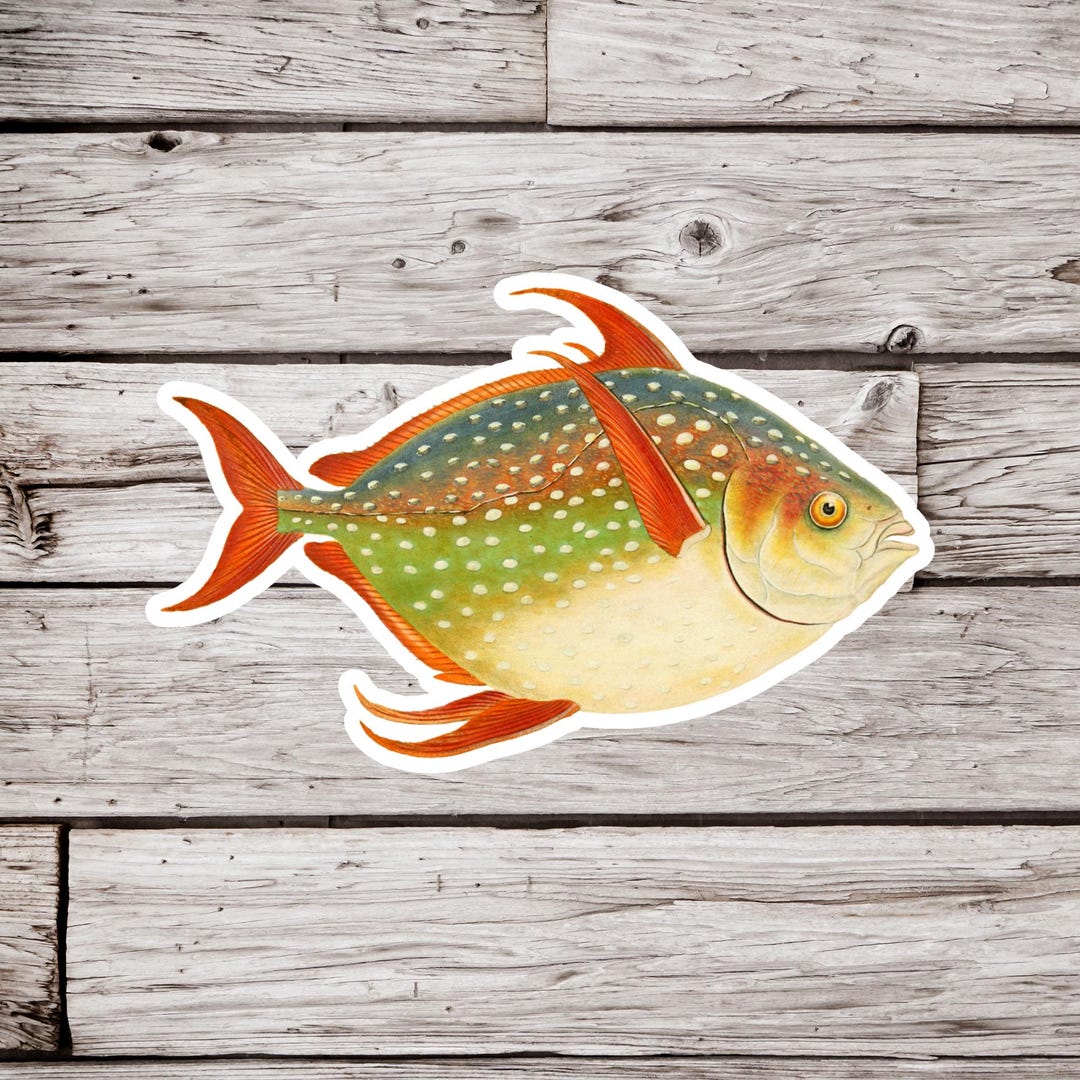 Opah Fish Design Opah Fish Sticker, Opah Sticker, Tropical Fish Sticker, Vintage Fish ...