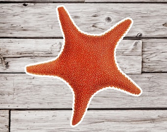 Starfish Sticker, Sea Star Sticker, Shell Sticker, Tide Pool Sticker, Ocean Sticker, Beach Sticker, Waterproof Sticker, Natural History