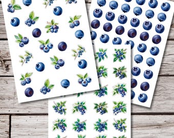 May include: Three sheets of stickers featuring watercolor illustrations of blueberries. The stickers include individual berries and clusters of berries with green leaves. The blueberries are various shades of blue and purple.
