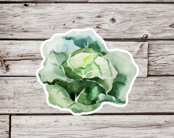 Lettuce Sticker, Vegetable Sticker, Garden Sticker, Waterproof Sticker, Plant Sticker, Produce Sticker
