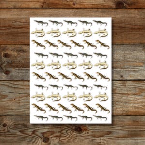 Alligator Crocodile Sticker Sheet, Alligator Sticker, 8.5x11&quot; Sticker Sheet, Crocodile Sticker, Reptile Sticker, Animal Sticker