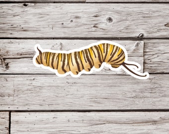 Monarch Caterpillar Sticker, Caterpillar Sticker, Monarch Sticker, Caterpillar Butterfly Sticker, Butterfly Sticker, Insect Sticker
