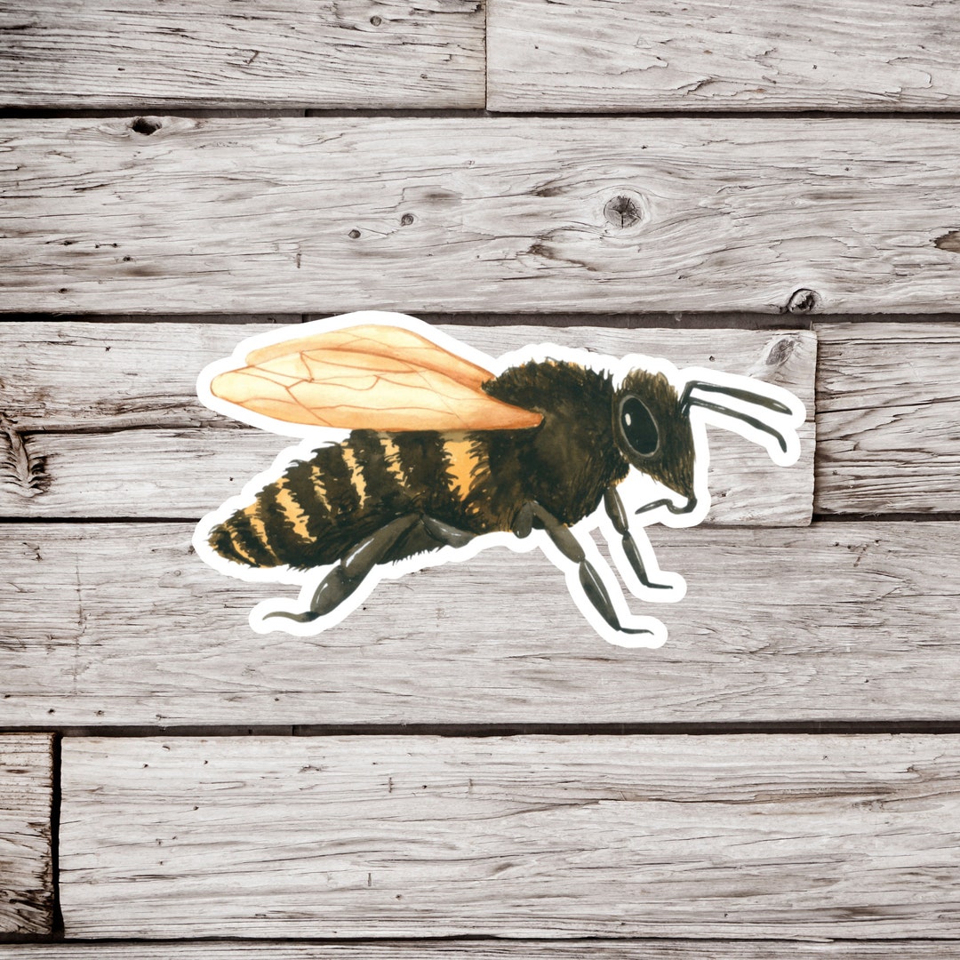 Honey Bee Sticker, Bee Sticker, Beekeeping Sticker, Waterproof Sticker ...