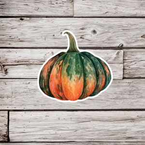 Pumpkin Sticker, Squash Sticker, Gourd Sticker, Garden Sticker, Fall Sticker, Autumn Sticker, Halloween Sticker, Thanksgiving Sticker