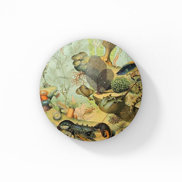 Ocean Pin, Ocean Pin Back Button, Sea LIfe Pin, Natural History Pin, Vintage Ocean Print Pin, Sea Creature Pin