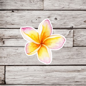 Plumeria Flower Sticker, Plumeria Sticker, Flower Sticker, Luau Sticker, Waterproof Sticker, Hawaiian Sticker, Tropical Flower Sticker