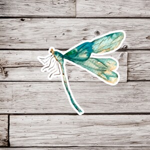 Dragonfly Sticker, Damselfly Sticker, Waterproof Sticker, Insect Sticker, Bug Sticker, Dragonfly Gift, Nature Sticker
