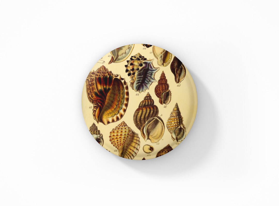 Sea Shells Cactus Pin, Shell Pin Back Button, Beach Pin, Vintage Sea ...