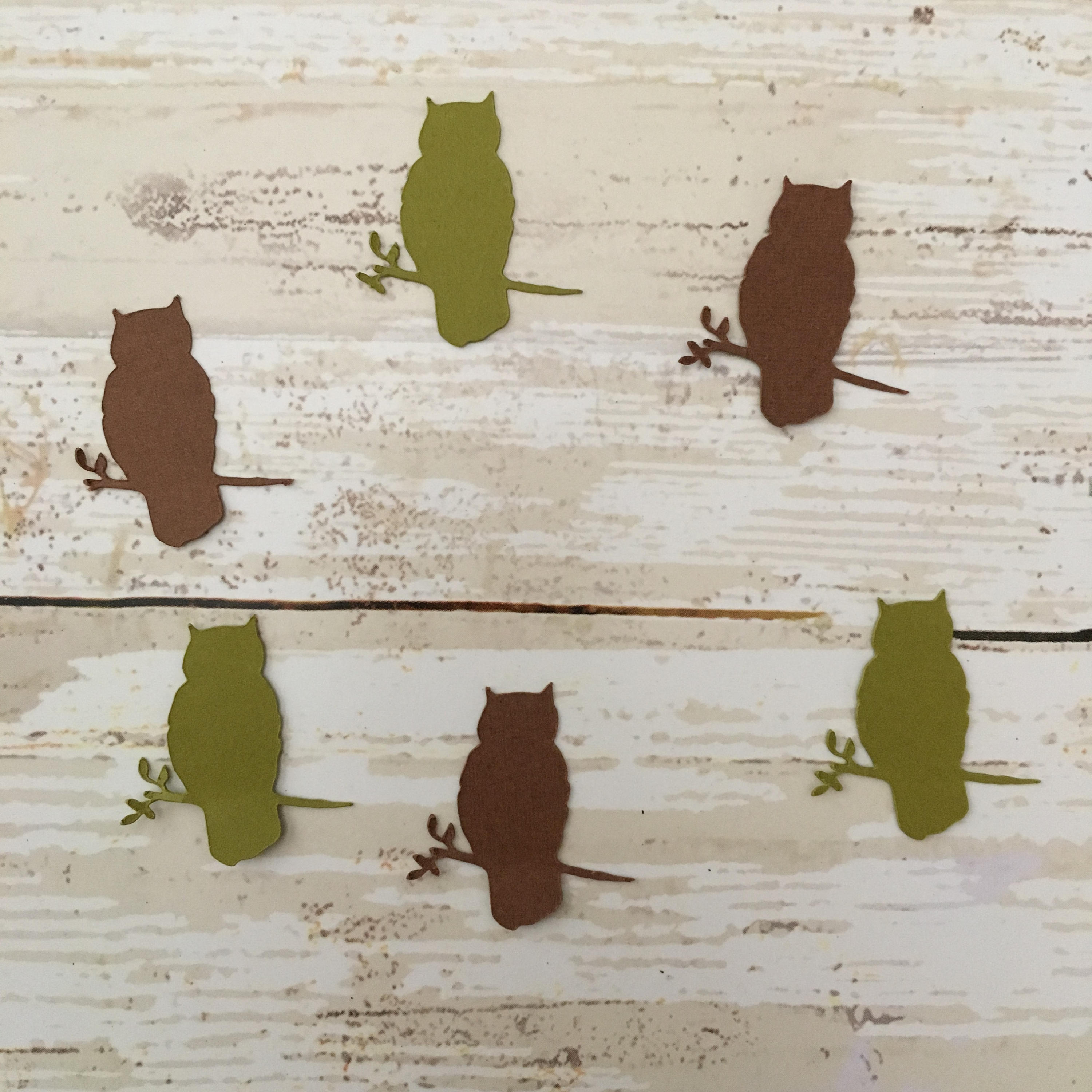 Owl on Branch Confetti | Owl Cut Outs | Owl Decoration | Woodland Confetti | Bird Confetti | Bird Cu