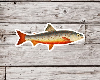 Brook Trout Sticker, Trout Sticker, Trout Fishing Sticker, Fishing Sticker, River Sticker, Natural History Sticker, Vintage Fish Sticker