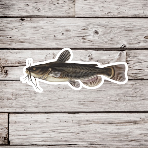 Bullhead Sticker, Catfish Sticker, Fish Sticker, Waterproof Sticker, Fishing Sticker, Lake Sticker, Fisherman Sticker