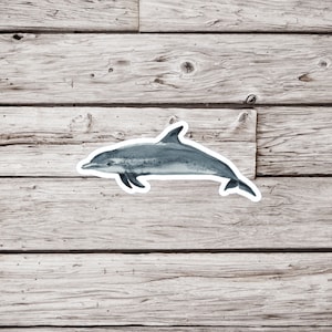 Atlantic Spotted Dolphin Sticker, Dolphin Sticker, Animal Sticker, Ocean Sticker, Waterproof Sticker, Watercolor Dolphin Sticker