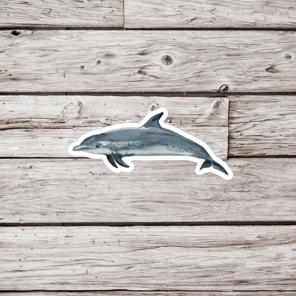 Atlantic Spotted Dolphin Sticker or Magnet, Dolphin Sticker, Dolphin Magnet, Animal Sticker, Ocean Sticker, Waterproof Sticker