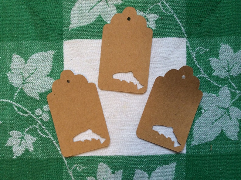 Salmon Gift Tags