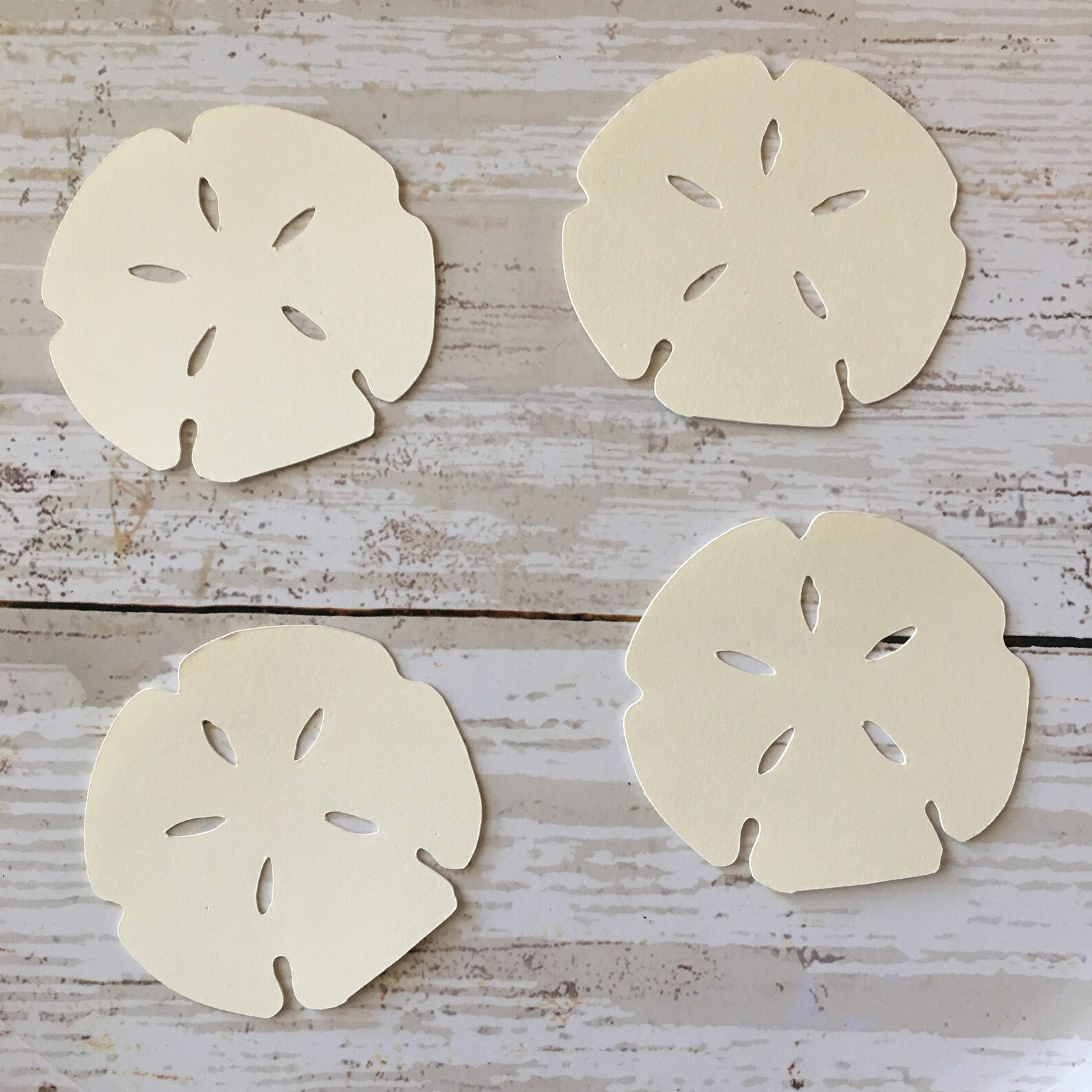 Sand Dollar Confetti Sand Dollar Cut Out Shell Confetti - Etsy