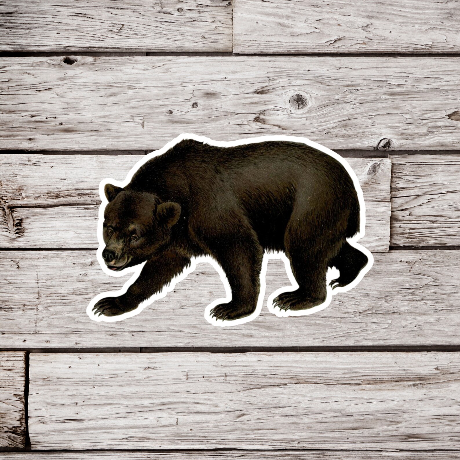 Black Bear Sticker, Bear Sticker, Animal Sticker, Waterproof Sticker ...