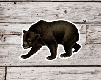 Könnte beinhalten: Ein schwarzer Bär, der nach rechts geht, mit dem Kopf nach links gedreht. Der Bär befindet sich auf einem weißen Hintergrund.