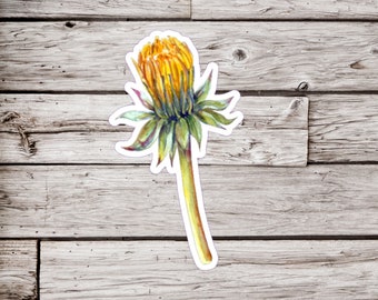 May include: A watercolor painting of a yellow dandelion bud with green leaves and a long stem. The flower is depicted against a woodgrain background.