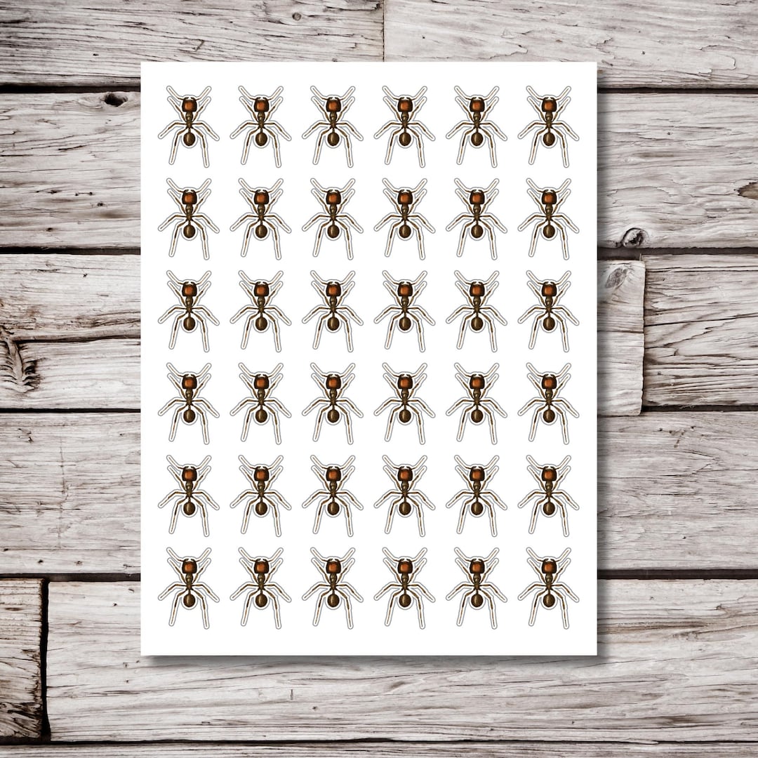 Ant Stickers, Ant Sticker Sheet, 8.5x11