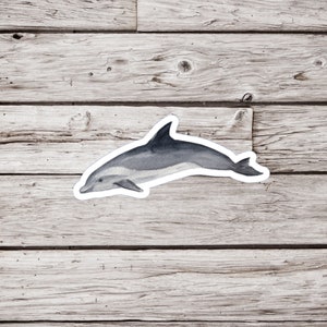 Bottlenose Dolphin Sticker, Dolphin Sticker, Sea Life Sticker, Ocean Sticker, Waterproof Sticker, Wildlife Sticker, Dolphin Gift