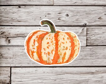 Squash Sticker, Winter Squash Sticker, Fall Sticker, Autumn Sticker, Pumpkin Sticker, Fall Sticker, Gourd Sticker, Plant Sticker
