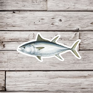 Bluefin Tuna Sticker, Tuna Sticker, Tuna Fish Sticker, Fish Sticker, Deep Sea Fishing Sticker, Fishing Sticker, Ocean Sticker