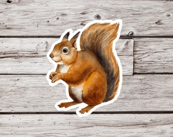 Squirrel Sticker, Animal Sticker, Wildlife Sticker, Woodland Sticker, Forest Sticker, Waterproof Sticker