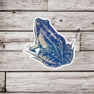 Frog Sticker, Celestial Sticker, Amphibian Sticker, Animal Sticker, Nature Sticker, Frog Gift