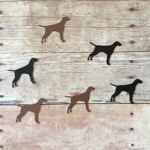 May include: A chart of 29 different cardstock colors, labeled with numbers and names. The colors include natural, cream, white, black, bright red, flat red, dark red, burgundy, tangerine, yellow, gold, pale yellow, chartreuse, green, bright green, dark green, lime green, sky blue, navy, scuba, medium blue, light blue, turquoise, sea green, arctic, and pale blue.