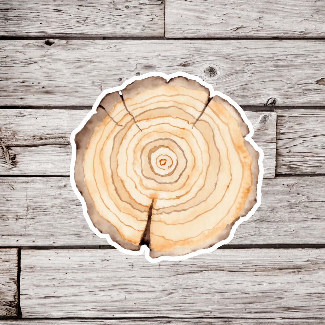 Tree Rippened Sticker Tree Slice Sticker, Tree Sticker, Stump Sticker, Forest Sticker, Pine ...