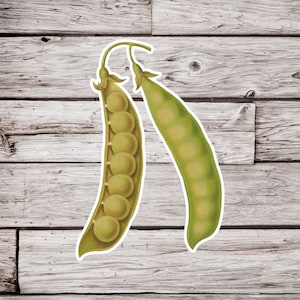 Peas Sticker, Pea Sticker, Snow Pea Sticker, Snap Pea Sticker, Vegetable Sticker, Botanical Sticker, Garden Sticker, Plant Sticker