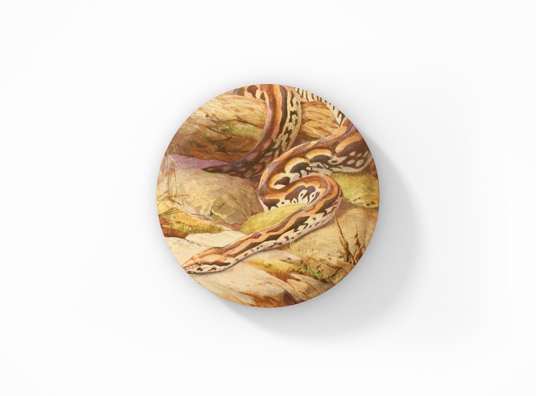Snake Key Pin Snake Pin Button, Snake Keychain, Snake Magnet, Wildlife Pin, Nature ...