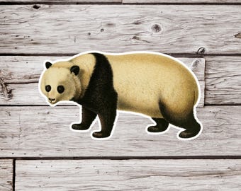 Panda Bear Sticker, Giant Panda Bear Sticker, Bear Sticker, Animal Sticker, Waterproof Sticker, Wildlife Sticker, Nature Sticker