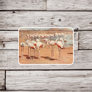 Flamingo Sticker, Bird Sticker, Natural History Sticker, Waterproof Sticker, Vintage Flamingo Sticker, Ornithology Sticker