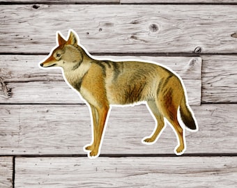 May include: A vintage illustration of a coyote, a type of wild dog, standing on a wooden background. The coyote is brown and gray with a long, bushy tail.