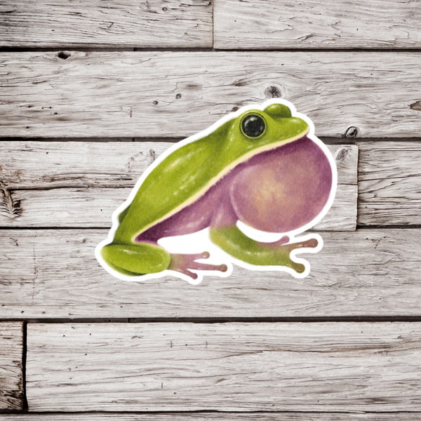 Tree Frog Sticker or Magnet, Tree Frog Sticker, Frog Sticker, Amphibian Sticker, Waterproof Sticker, Tree Frog Magnet, Frog Magnet