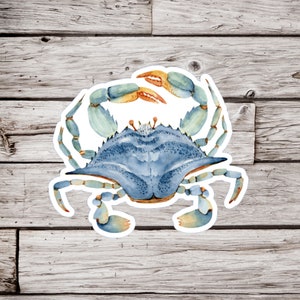 Blue Crab Sticker, Crab Sticker, Crustacean Sticker, Ocean Sticker, Beach Sticker, Watercolor Crab Sticker