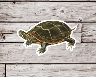 Painted Turtle Sticker, Turtle Sticker, Waterproof Sticker, Reptile Sticker, Wildlife Sticker, Nature Sticker