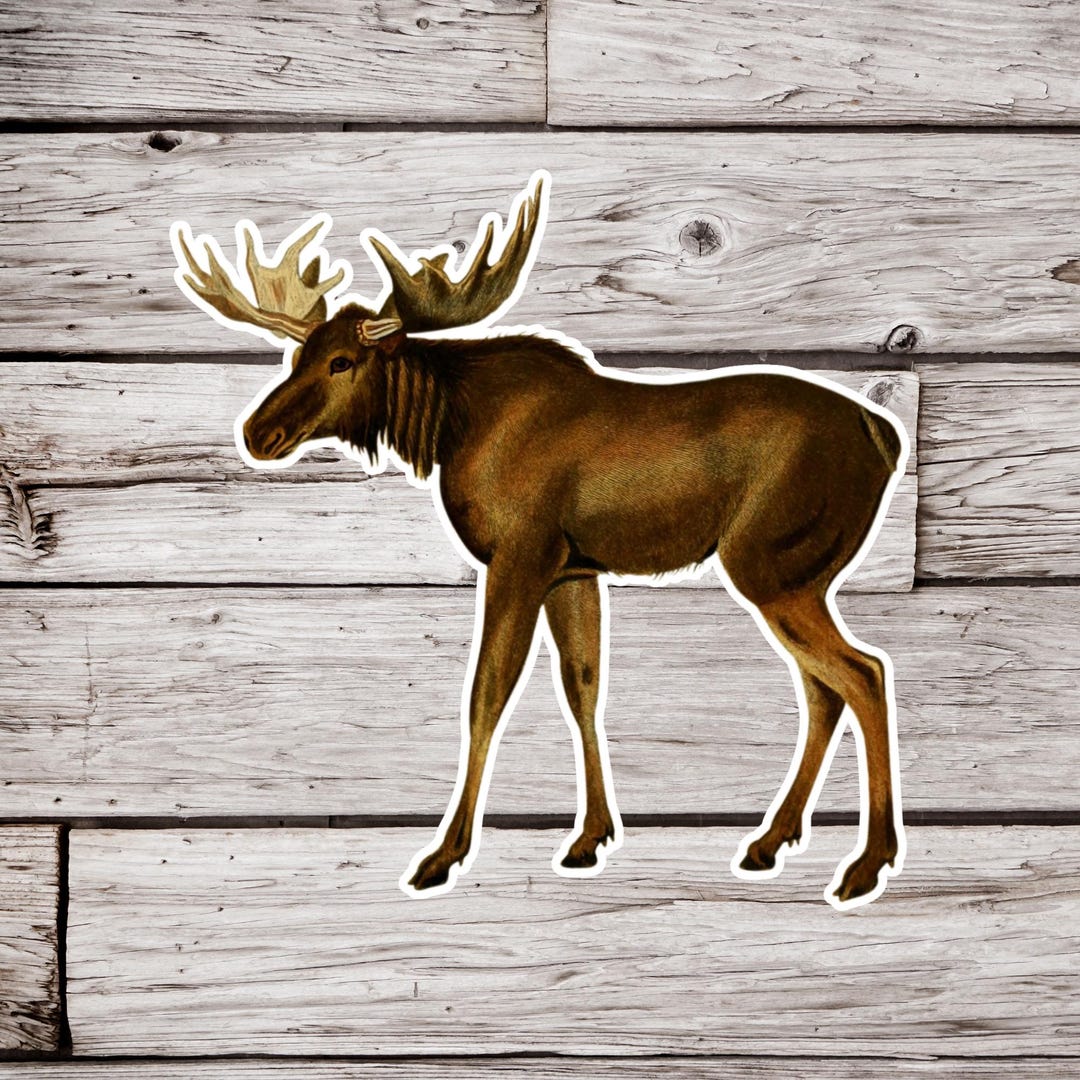 Moose Sticker, Animal Sticker, Waterproof Sticker, Nature Sticker ...